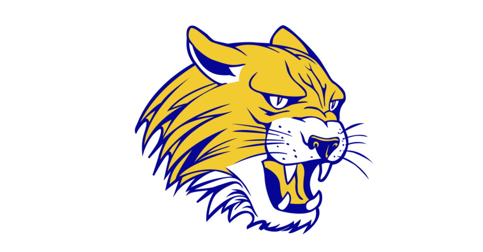 St Paul Wildcats Logo