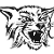Council Bluffs Abraham Lincoln ,Lynx Mascot